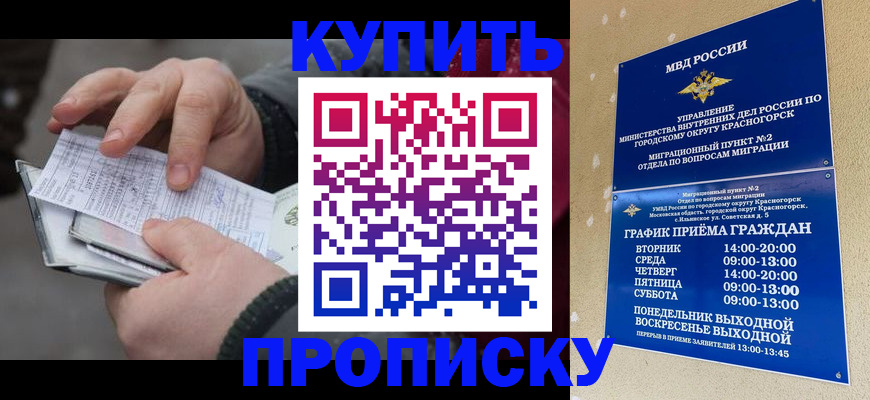 временная регистрация недорого в Бердске